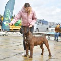VOICE VELD LUKAS VOICE VELD LUKAS