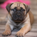 YANTARNY BEREG AVATAR