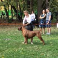 LEGENDA AFRIKI TIANA IMARA DIA LEGENDA AFRIKI TIANA IMARA DIA