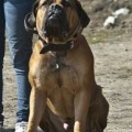 YULIUS FROM SOUTH AFRIKA YULIUS FROM SOUTH AFRIKA