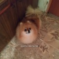 YUNONA SMOLGIV YUNONA SMOLGIV