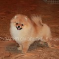 RUZALIYA SMOLGIV RUZALIYA SMOLGIV