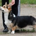 VELISLAVA IZ KSARO CHESTNAYA IGRA VELISLAVA IZ KSARO CHESTNAYA IGRA