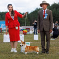 ELISABETH PRINSESS IZ KSARO CHESTNAYA IGRA ELISABETH PRINSESS IZ KSARO CHESTNAYA IGRA