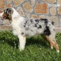 MARBLE MAGIC VENCENT MONACO MARBLE MAGIC VENCENT MONACO