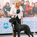 PERPETUM MOBILE IZ DINASTII CHEMPIONOV PERPETUM MOBILE IZ DINASTII CHEMPIONOV