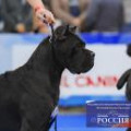 SEX BOMB IZ DINASTII CHEMPIONOV SEX BOMB IZ DINASTII CHEMPIONOV