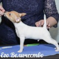 NASLEDIE PRIORATA YEGO VELICHESTVO NASLEDIE PRIORATA YEGO VELICHESTVO