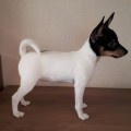 ALMA DE STEOL ONYX ALMA DE STEOL ONYX