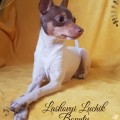 LASKOVIY LUCHIK BOUNTY LASKOVIY LUCHIK BOUNTY