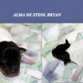 ALMA DE STEOL BRYAN ALMA DE STEOL BRYAN