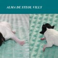 ALMA DE STEOL VILLY ALMA DE STEOL VILLY