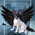 AURUS PRIDE DRAKE AURUS PRIDE DRAKE