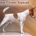 FANSY STONES BARKLAY FANSY STONES BARKLAY