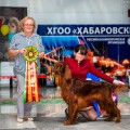 UNITYWILS SOLNECHNYJ LUCHIK UNITYWILS SOLNECHNYJ LUCHIK