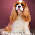 DYUPRASS MOZART LIMART VEGAS DYUPRASS MOZART LIMART VEGAS