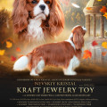 NEVSKIY KRISTAL KRAFT JEWELRY TOY NEVSKIY KRISTAL KRAFT JEWELRY TOY