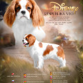 RESPUBLIKA VEO DISNEY RESPUBLIKA VEO DISNEY