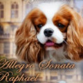 ALLEGRO SONATA RAPHAEL ALLEGRO SONATA RAPHAEL