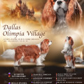DALLAS OLIMPIA VILLAGE DALLAS OLIMPIA VILLAGE