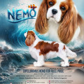 EXPELLIARMUS NEMO FOR ALICE PRIDE
