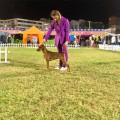 ALLANIA GRAND DIVA DI-AMORE