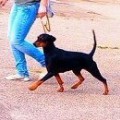 SANNY MONKEY LEGENDA SOLO NERO SANNY MONKEY LEGENDA SOLO NERO