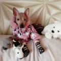 VOLODARSKIY VERNISAHZ UELINA VOLODARSKIY VERNISAHZ UELINA