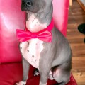AXLI NO DOUBT LOVING AXLI NO DOUBT LOVING