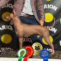 ROMANIKA WINS JULIAN