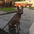 REALGOLDNIMA CHERISH MI BOS REALGOLDNIMA CHERISH MI BOS
