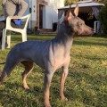 ANAYNOA IRVINE ANAYNOA IRVINE