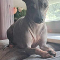 LEELOO MARSIUS LEELOO MARSIUS