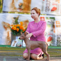FARM PERIRA NORWAY ROMANIKA WINS  JUL