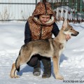 ROSKOSHNAYA UDACHA ARIENNA ROSKOSHNAYA UDACHA ARIENNA