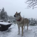 LERAJIE II Z PERONOWKI LERAJIE II Z PERONOWKI