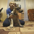 EPOHA VIKTORII VOLFRIS GREI EPOHA VIKTORII VOLFRIS GREI