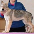 GEIZKA MATIYA C BOGORODSKA GEIZKA MATIYA C BOGORODSKA
