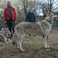 RAISING STAR CEFAT RAISING STAR CEFAT