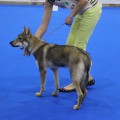 EPOHA VIKTORII DARENA DII KANAVAR EPOHA VIKTORII DARENA DII KANAVAR