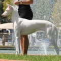 INKA