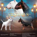 OKSITAILS F-LITTER OKSITAILS F-LITTER