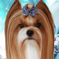 VIP DAZZLING LITTLE STAR CHOPIN VIP DAZZLING LITTLE STAR CHOPIN