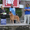 JOHNNIE WALKER WEINHOUND