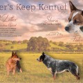 CLEVER'S KEEP N LITTER CLEVER'S KEEP N LITTER