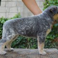 LITTABELLA OD DORRINKY