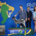 CHUNA WEINHOUND