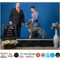 TREPEN WEINHOUND