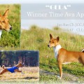 WINNER TIME AVA APONI WINNER TIME AVA APONI