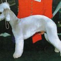 KINTERRA ODRY
